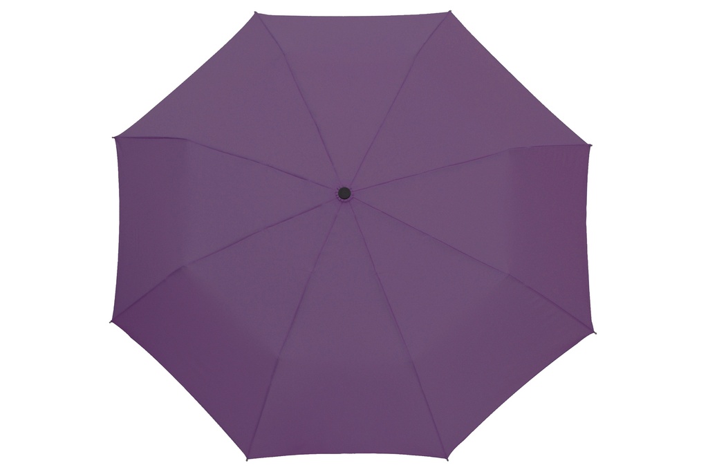U311-Violeta-variation_image